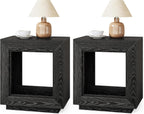 LITTLE TREE End Table with Storage, Wooden Square Side Table, Industrial Sofa Side Tables for Living Room, 2-Tier Bedside Table Nightstand for Bedroom, Chair Side Table for Small Spaces, Black