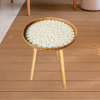 Shell Inlay Side Table, End Table, Home Decoration, Tea Table, Bedside Table for Bedroom, Garden, White Leaves 40cm