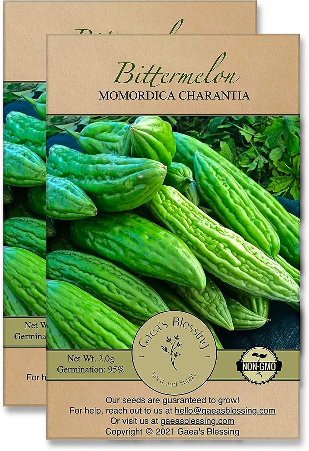 Gaea's Blessing Seeds - Bitter Melon Seeds - Bitter Gourd Heirloom Non-GMO Bittermelon Seeds with Easy to Follow Planting Instructions - 92% Germination Rate (Pack of 2)