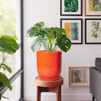 Indoor Planter 10 Inch - Ceramic Plant Pot with Drainage Hole and Saucer, Modern Decorative Round Planter for Indoor Outdoor Plants, Housewarming Gifts, Home Garden Office Decor, Orange