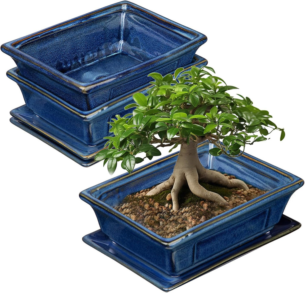 Bonsai Pots Small Shallow Succulent Planters for Live Bonsai Trees Set of 2, 7.5" Ceramic Pot for Succulents Indoor with Drainage Hole and Saucer, Outdoor Cactus Plant Bonsai Pot