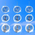 9 PCS Stainless Steel Bird deterrents for Outside,Crow Deterrent,3D Bird Scarer Discs Set Pigeon Deterrent,Bird reflectors to Keep Birds Away Woodpecker Deterrent for House