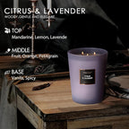 HomeLights Scented Candles - Large Jar Aromatherapy, Natural Soy Wax, 130 Hour Long Burning, Citrus & Lavender