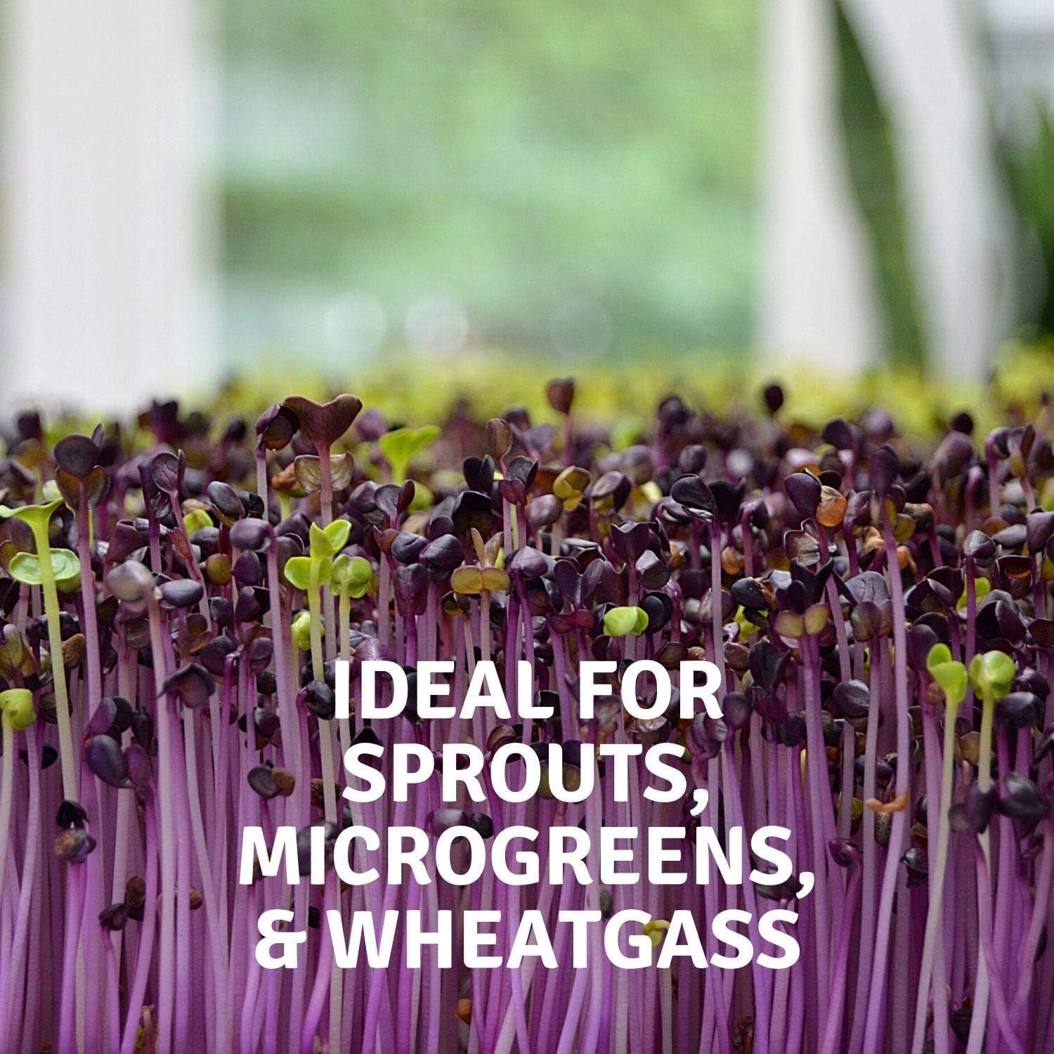 Micro-Mats Hydroponic Grow Pads - for Organic Production - 10 Pack - Plant & Seed Germination: Wheatgrass, Microgreens, More - for 20" x 10" Greenhouse Trays