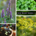 Sow Right Seeds - 15 Herb Garden Seed Collection for Planting - Essential Herbs for Cooking - Non-GMO Heirloom Packet Instructions to Grow Kitchen Garden Indoors or Outdoors - Great for Hydroponics