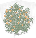 Agfabric Fruit Tree Netting Protection Bag with Drawstring,6.5x9.1 FT Garden Netting Insect Pest Barrier,Bird Netting Plant Covers for Vegetables Fruits Flower,White