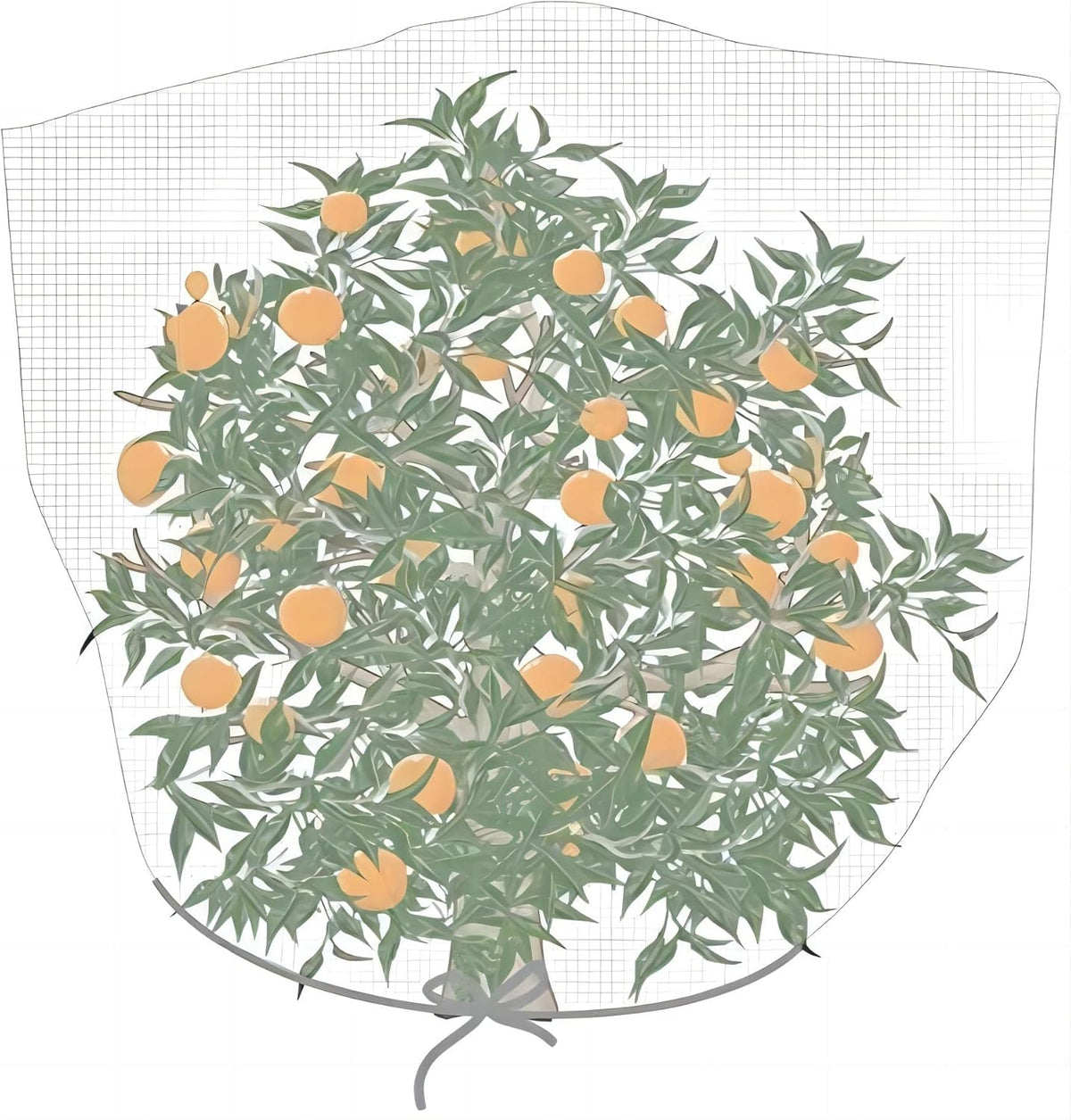 Agfabric Fruit Tree Netting Protection Bag with Drawstring,6.5x9.1 FT Garden Netting Insect Pest Barrier,Bird Netting Plant Covers for Vegetables Fruits Flower,White