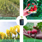 gardtree Plant Nursery Bags 7” x 7.87” 400PCS, Non-Woven Biodegradable Plant Grow Bags Fabric Seedling Starter for Vegetable Flower Fruit Saplings Tree, Home Garden Supply