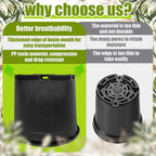 3 Gallon Nursery Pots Plastic Container Injection Molded Pot for Plants Flexible with Drainage Holes Suitable for Plants Soil Growers or Hydroponics Black 10 Pcs