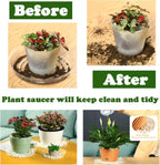 20 Packs 6 Inches Small Clear Plant Saucers for Indoor Outdoor Use Heavy Duty Plastic Plant Trays for Planter Bulk Flower Pot Drip Trays to Catch Water, 4 to 20 Inch