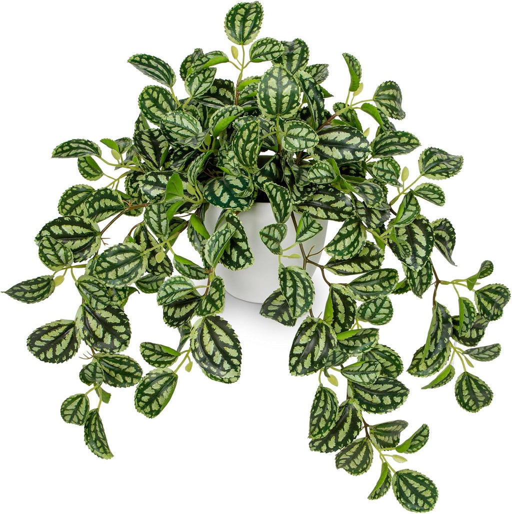 Briful Fake Plants Indoor Artificial Potted Silk Plants Faux Watermelon Peperomia Trailing Vine Plant for Home Office Livingroom Desk Shelf Mantle Decoration(Green/White - 1 Pack)