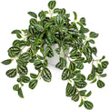 Briful Fake Plants Indoor Artificial Potted Silk Plants Faux Watermelon Peperomia Trailing Vine Plant for Home Office Livingroom Desk Shelf Mantle Decoration(Green/White - 1 Pack)