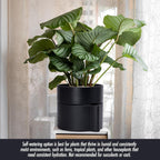Phoenix Vine 8 Inch Self-Watering Planter Pot with Terracotta Insert, Deep Water Reservoir, and Ceramic-Alike BPA-Free Plastic Planter Pot for Plant, Modern Planter for Houseplants, Black, 53-A-T-2