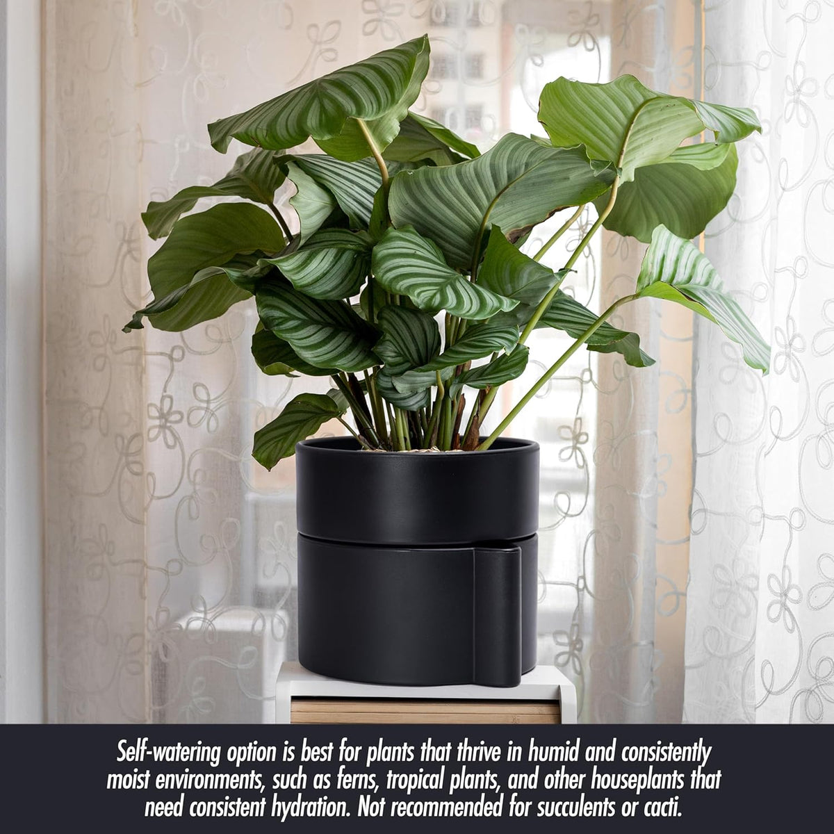 Phoenix Vine 8 Inch Self-Watering Planter Pot with Terracotta Insert, Deep Water Reservoir, and Ceramic-Alike BPA-Free Plastic Planter Pot for Plant, Modern Planter for Houseplants, Black, 53-A-T-2