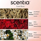 Hotel Diffuser Oil Inspired by Fairmont Hotel Scent - 20 mL 0.67 fl oz - Fragrance Oil Blend Rose, Oud Wood & Clove Notes for Aromatherapy Diffusers and Humidifiers - Lost Rose