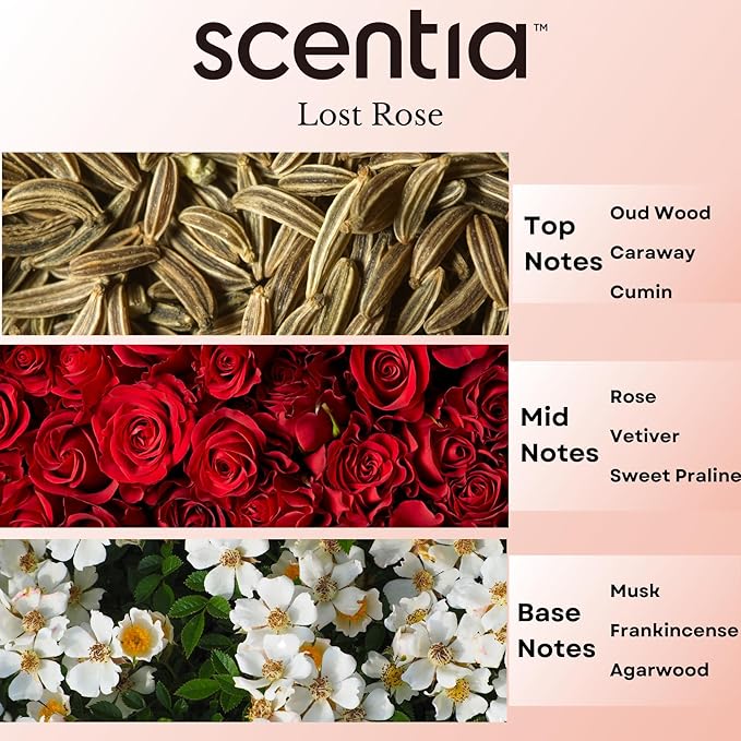 Hotel Diffuser Oil Inspired by Fairmont Hotel Scent - 20 mL 0.67 fl oz - Fragrance Oil Blend Rose, Oud Wood & Clove Notes for Aromatherapy Diffusers and Humidifiers - Lost Rose