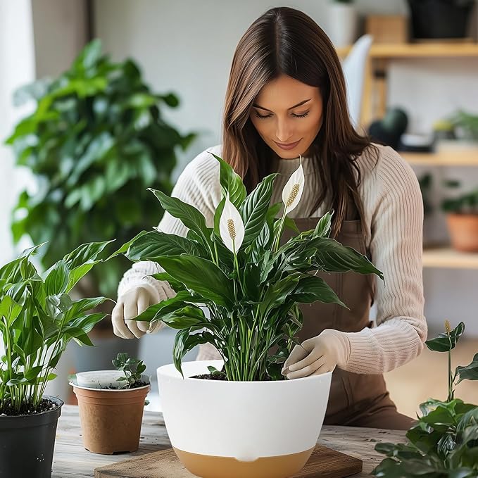 10 Inch Pots for Indoor Plants, Large Self Watering Planters with Drainage and Saucers, Plastic Outdoor Flower Pot, Set of 2, White