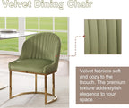 Velvet Dining Chairs Set of 2, Upholstered Dining Room Chairs with Silver Metal Legs, Modern Kitchen Side Chairs Reading Chair (Light Green+Golden, Set of 2)