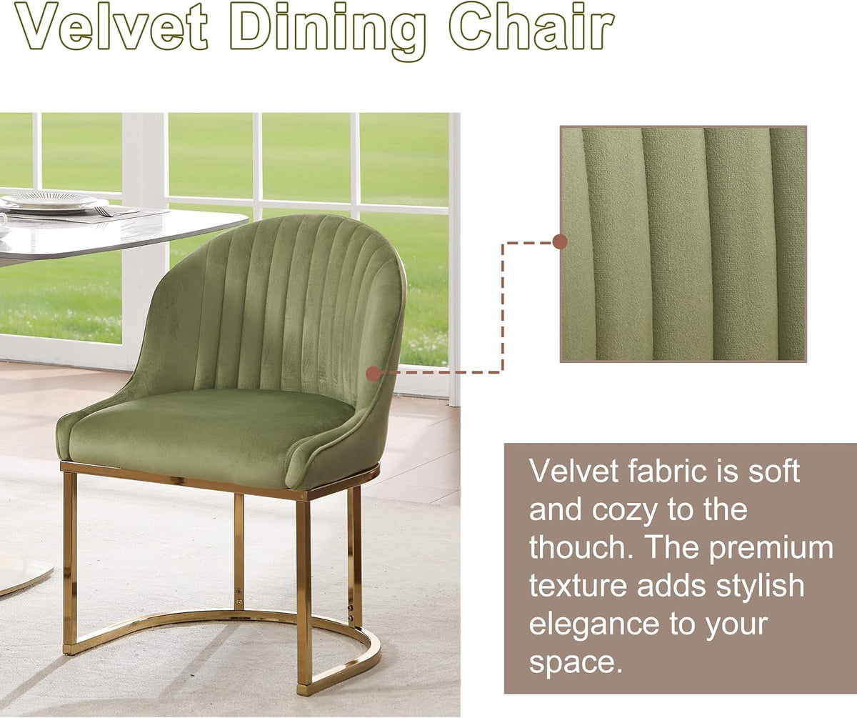 Velvet Dining Chairs Set of 2, Upholstered Dining Room Chairs with Silver Metal Legs, Modern Kitchen Side Chairs Reading Chair (Light Green+Golden, Set of 2)