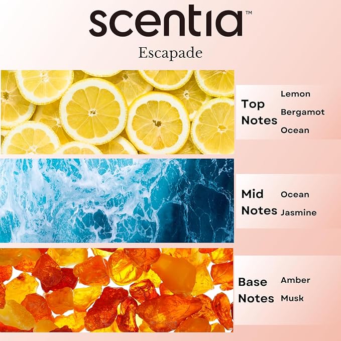 Hotel Diffuser Oil Inspired by The Ritz Carlton Hotel Scent - 20 mL 0.67 fl oz - Aromatherapy Fragrance Oil Inspired by 5 Star Hotel - Escapade