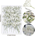 50Pcs Babys Breath Dried Pressed Flowers for Crafts,Xinxinran White Dry Flowers Kit for Wedding Invitation Accessories,Bookmark,Jewelry Molds,Candle Making Supplies,Soap,Frame,Cakes