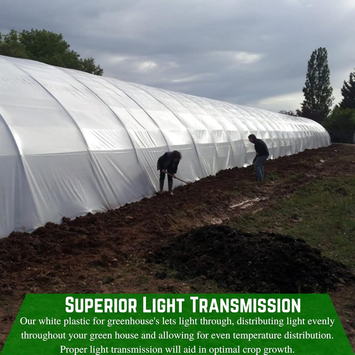 Farm Plastic Supply - String Reinforced 4 Year UV Resistant 10 mil White Greenhouse Plastic Sheeting - 4 Year UV Resistant Polyethylene Greenhouse Film, Hoop House Green House Cover (16' x 10')