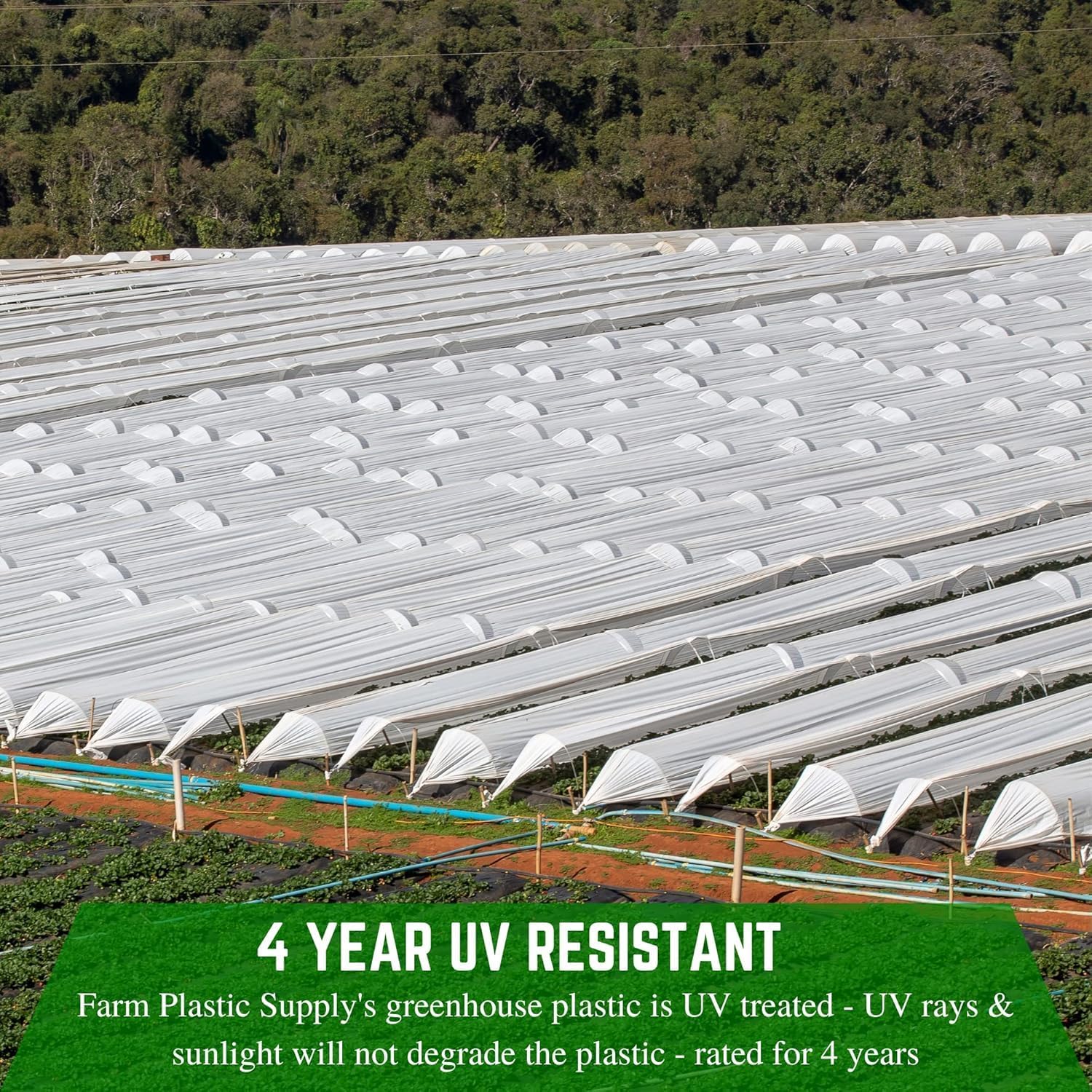 Farm Plastic Supply - String Reinforced 4 Year UV Resistant 10 mil White Greenhouse Plastic Sheeting - 4 Year UV Resistant Polyethylene Greenhouse Film, Hoop House Green House Cover (16' x 20')