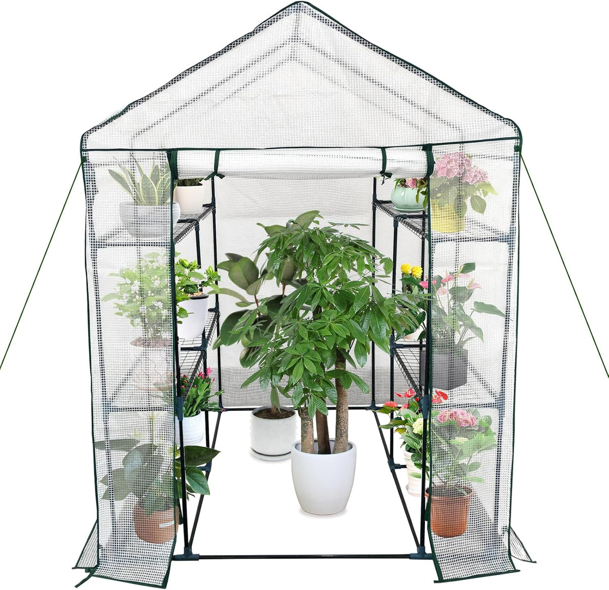 Greenhouse for Outdoors,Walk in 3-Tier 6 Shelves Green House w/ Roll-Up Zippered Door Anchors and Ropes,Waterproof & UV Protected Plant Garden Hot House for Garden Patio Backyard,57 x 57 x 76''