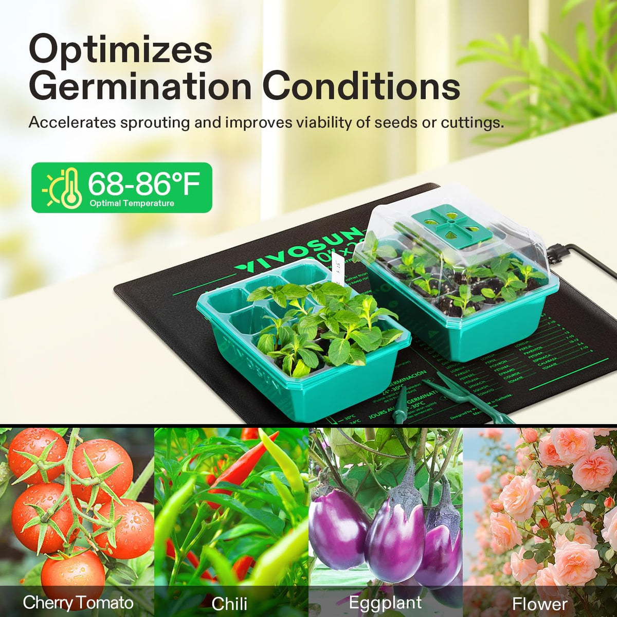 VIVOSUN 20" x 20.75" Seedling Heat Mat and Digital Thermostat Combo Set, UL & MET-Certified Warm Hydroponic Heating Pad for Germination, Indoor Gardening, Greenhouse
