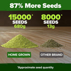 HOME GROWN Mung Beans Seeds Pack 1.5 lb – 𝗨𝗦𝗔 Over 15,000 Sprouting Seeds – Grow Fresh Mung Bean Sprouts or Microgreens for Quick, Easy, Nutrient-Packed Food for Your Daily Meals (Vigna Radiata)