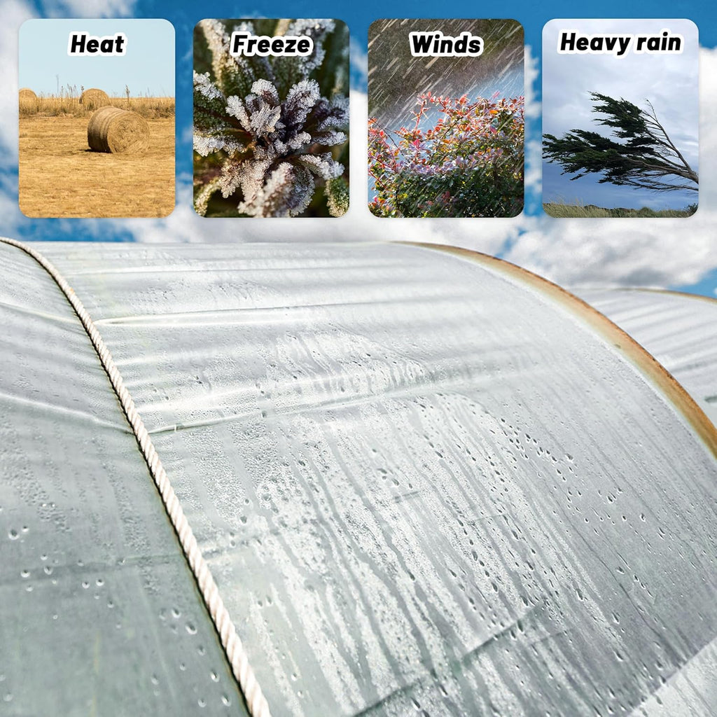 6 Mil Clear Greenhouse Plastic Sheeting,Transparent Plastic Film for Greenhouse, UV Resistant Polyethylene Film for Farm,Garden (8ftx12ft)