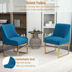 Kitchen & Dining Room Chairs Set of 2 Mid Century Modern Dining Chairs Upholstered Dining Chairs with Polished Gold Finish Metal Frame-Gold Base Velvet.