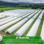 Farm Plastic Supply - String Reinforced 4 Year UV Resistant 10 mil White Greenhouse Plastic Sheeting - 4 Year UV Resistant Polyethylene Greenhouse Film, Hoop House Green House Cover (16' x 20')