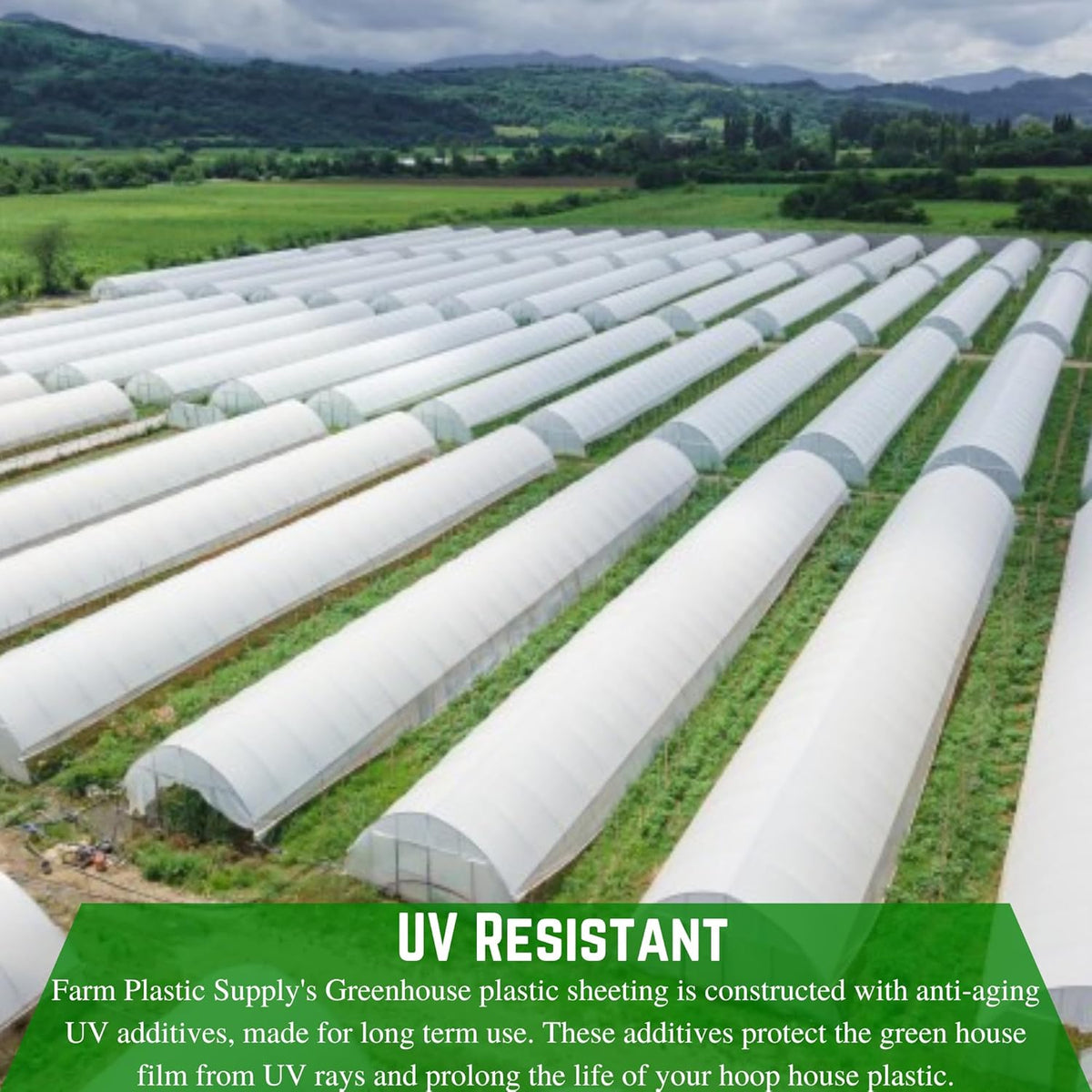 Farm Plastic Supply - String Reinforced 4 Year UV Resistant 10 mil White Greenhouse Plastic Sheeting - 4 Year UV Resistant Polyethylene Greenhouse Film, Hoop House Green House Cover (20' x 20')