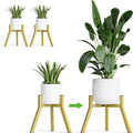 Adjustable Plant Stands Set of 2, Metal Modern Small Plant Holder, Heavy Duty Stable Flower Holder Stand Rack for 10-16 Inch Indoor Outdoor Corner Living Room Balcony Office Golden PS-007GY-2