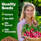 HOME GROWN 𝗨𝗦𝗔 𝗣𝗥𝗘𝗠𝗜𝗨𝗠 Cherry Belle Radish Seeds 800+ 𝗡𝗢𝗡-𝗚𝗠𝗢 Heirloom Vegetable Seeds for Planting Outdoors Harvest in 30 Days Red Radishes, Spring and Fall Gardens (Raphanus Sativus)