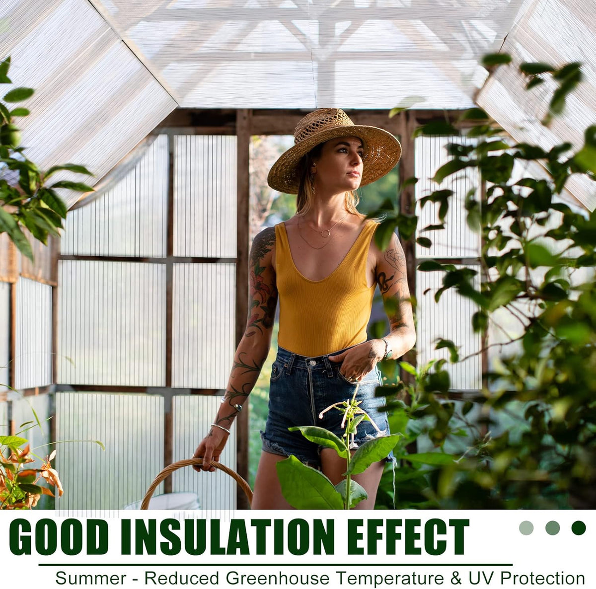 Tatuo 12 Pack 6' X 2' X 0.24'' Polycarbonate Greenhouse Panels Polycarbonate Sheets Twin-Wall Roof Panels Waterproof UV Protected Clear Corrugated Plastic Roofing for Greenhouse Replacement