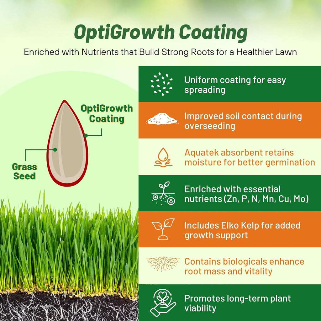 Outsidepride Hard Fine Fescue Grass Seed - 5 lbs. Low-Growing, Drought & Shade-Tolerant, OptiGrowth Coated Seed for Lawn & Turf, Ideal for Low-Maintenance, Dense, & Resilient Green Ground Cover