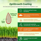 Outsidepride Hard Fine Fescue Grass Seed - 5 lbs. Low-Growing, Drought & Shade-Tolerant, OptiGrowth Coated Seed for Lawn & Turf, Ideal for Low-Maintenance, Dense, & Resilient Green Ground Cover
