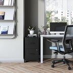 2-Drawer Mobile File Cabinet with Lock & Wheels,Under Desk File Cabinets for Home Office,Steel Rolling Cabinet for Legal/Letter Files(Black)