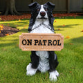 Border Collie Outdoor Dog Statue with Reversible “Welcome/ON Patrol” Plaque and Solar Path Lantern, Black & White Sitting Herding Dog Yard Accent