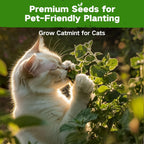 Lush&Dew Pet-Friendly Heirloom Seed Bank, Gardening Gifts for Women Men, 16 Varieties 15,000+ Non-GMO Seeds for Planting Herbs Flowers Vegetables in Raised Bed Windowsill, Annuals & Perennials