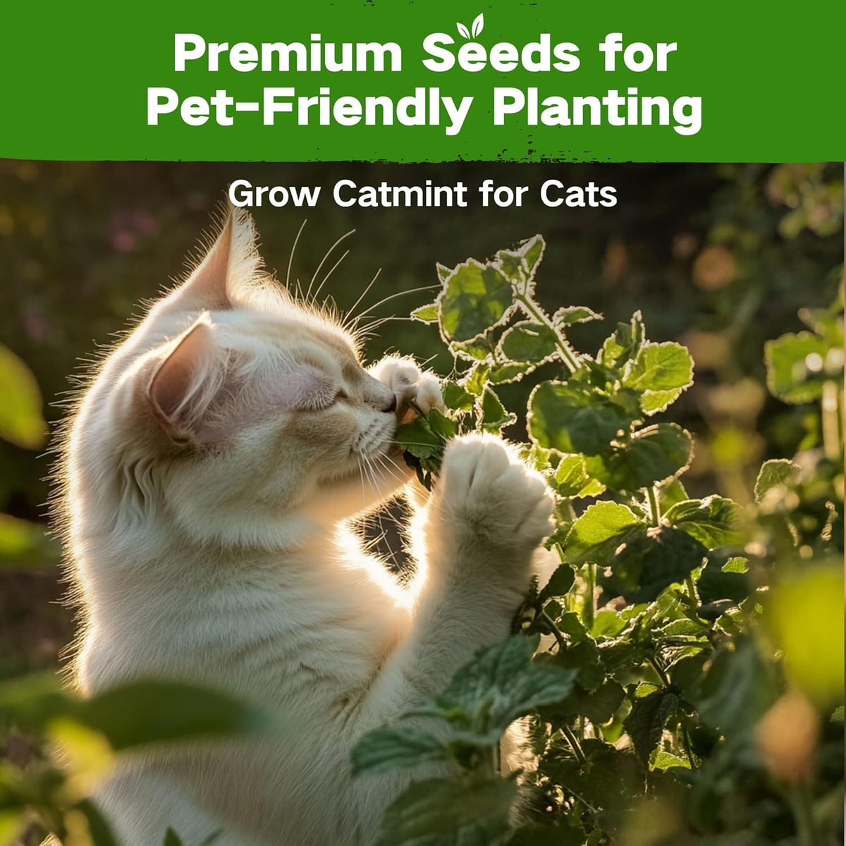 Lush&Dew Pet-Friendly Heirloom Seed Bank, Gardening Gifts for Women Men, 16 Varieties 15,000+ Non-GMO Seeds for Planting Herbs Flowers Vegetables in Raised Bed Windowsill, Annuals & Perennials