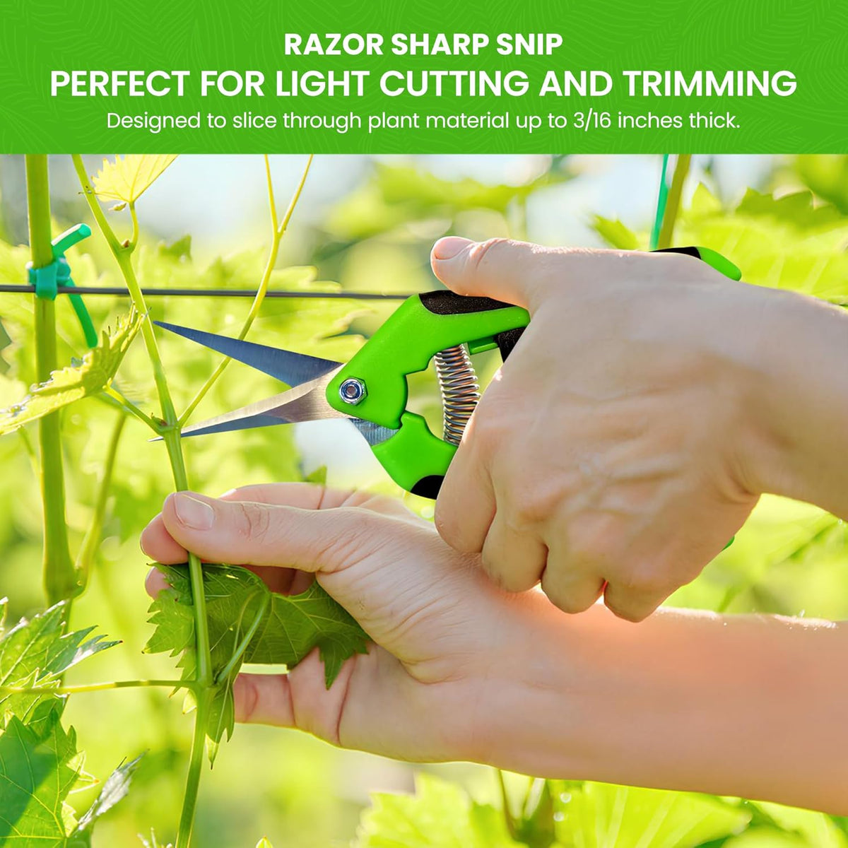 GARDEN GURU Razor Sharp Snip – Professional Garden Pruning Shears Trimmers Scissors – Super Sharp Micro-Tip Precision Stainless Steel Blades - Easy on Arthritic Hands - Soft Ergonomic Rubber Handles