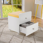 Garvee Vanity Stool Chair with Storage, 17.32" l x 15.16" w x 17.32" h PU Ottoman with Lockable Wheels & Storage Drawer, Modern Multifunctional Chairs for Makeup
