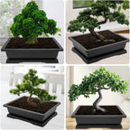 GROWNEER 3Pcs 18 Inch Bonsai Training Pots Large Bonsai Tree Starter Pot Kits with Drainage Humidity Trays & Repotting Mat, Flower Growing Planter Set for Garden Indoor Outdoor