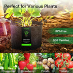 VIVOSUN 20-Pack 5 Gallon Grow Bags, Heavy Duty Thickened Nonwoven Fabric Pots with Handles for Flowers Fruits and Vegetables Black
