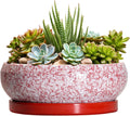 Succulent Pots - 8 Inch Bonsai Pots for Indoor Outdoor, Shallow Ceramic Planter with Drainage Hole and Saucer, Round Flower Succulent Planters, Room Decor, Gifts for Plant Lovers, Red
