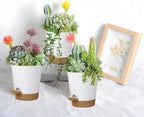 12 Pack 4 Inch Self Watering Plant Pots with Drainage and Saucers，Plastic Flower Pots for Indoor and Outdoor Plants, Nursery Planters for Houseplants and Herbs White Brown, 4 inch 12pcs