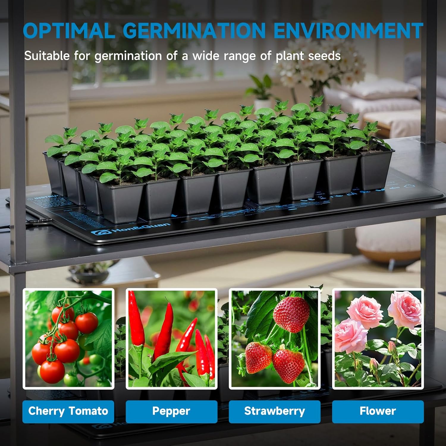 2 Packs Hon&Guan 10"x 20.75" Seedling Heat Mat with Digital Thermostat Combo Set,Waterproof Plant Heating Pad for Germination,Indoor Gardening,Greenhouse